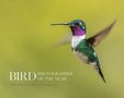Bird Photographer Of The Year: Bird Photographer of the Year, Buch