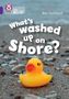 Ben Hubbard: What's washed up on shore?, Buch, Buch