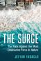 Jeevan Vasagar: The Surge, Buch