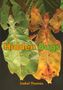 Isabel Thomas: Hidden Bugs, Buch
