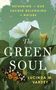 "Returning to Our Sacred Belonging in Nature. The Green Soul. Lucinda M. Vardey." Illustration: weiße Blume, Schmetterling., Buch