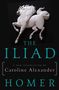Homer: The Iliad, Buch