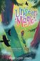 Emily Lloyd-Jones: Unseen Magic, Buch