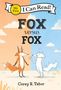 Corey R Tabor: Fox Versus Fox, Buch