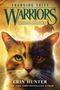 „Changing Skies: Warriors, Chasing Shadows“ von Erin Hunter. Eine Katze mit verschiedenfarbigen Augen im Vordergrund., Buch