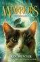 "Changing Skies: Warriors, Guiding Light" und "Erin Hunter". Eine Illustration einer Katze mit auffälligen grünen Augen., Buch