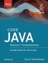 Cay Horstmann: Core Java Vol. I, Buch