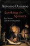 Antonio Damasio: Looking for Spinoza, Buch