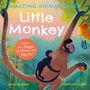 Anne Rooney: Amazing Animal Tales: Little Monkey, Buch