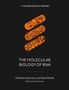 „THE MOLECULAR BIOLOGY OF RNA“, Autoren Michael Ladomery und David Elliott. Orange Muster auf schwarzem Hintergrund.