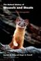 Carolyn M King: The Natural History of Weasels and Stoats, Buch