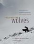 : Yellowstone Wolves, Buch