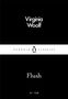 Virginia Woolf: Flush, Buch, Buch