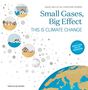 David Nelles: Small Gases, Big Effect, Buch