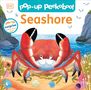 Dk: Pop-Up Peekaboo! Seashore, Buch