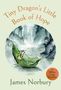 "Tiny Dragon's Little Book of Hope", James Norbury. Illustration: Drache in Blattboot auf ruhigem Wasser, nebeliger Wald.