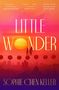 "Little Wonder" von Sophie Chen Keller; Zitate von Amanda Peters, Susie Yang, Jean Kwok; Sonnenuntergang, Lampions, Skyline.