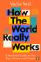 Vaclav Smil: How the World Really Works, Buch