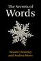 Noam Chomsky: The Secrets of Words, Buch