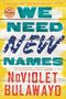 Noviolet Bulawayo: We Need New Names, Buch