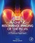 : Magnetic Resonance Imaging of The Pelvis, Buch