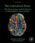 Sebastian Ocklenburg: The Lateralized Brain, Buch