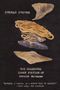 Gerald Murnane: Stream System, Buch