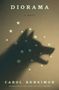 Carol Bensimon: Diorama, Buch