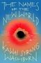 „The Names of the New World“ steht in weiß auf blauem Hintergrund, darüber eine rote Sonne im Meer., Buch