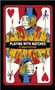 Brian Katcher: Playing with Matches, Buch