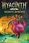 Jacob Sager Weinstein: Hyacinth and the Secrets Beneath, Buch