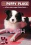 Ellen Miles: Flash (the Puppy Place #6), Buch