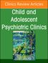 Inpatient Psychiatry, an Issue of Child and Adolescent Psychiatric Clinics of North America, Buch