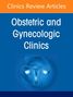 "Clinics Review Articles: Obstetric and Gynecologic Clinics" in weißer Schrift. Unten eine blaue Illustration einer Gebärmutter.