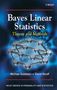 Michael Goldstein: Bayes Linear Statistics, Buch