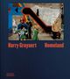 Brice Matthieussent: Harry Gruyaert: Homeland, Buch