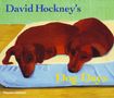 David Hockney: David Hockney's Dog Days, Buch
