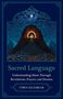 Text: "Sacred Language: Understanding Islam Through Revelations, Prayers, and Dreams" von Cyrus Ali Zargar. Dunkle, mystische Illustration.