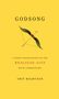 Amit Majmudar: Godsong, Buch