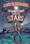 „NEWBERY HONOR WINNER. GARY D. SCHMIDT. WHAT CAME FROM THE STARS.“ Junge mit Taschenlampe auf Wellen, nächtliche Szenerie., Buch
