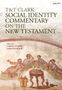 T&t Clark Social Identity Commentary on the New Testament, Buch