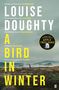 Louise Doughty: A Bird in Winter, Buch