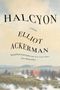 Elliot Ackerman: Halcyon, Buch
