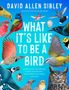 David Allen Sibley: What It's Like to Be a Bird (Adapted for Young Readers), Buch