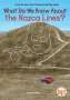 Ben Hubbard: What Do We Know about the Nazca Lines?, Buch