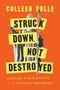 Colleen Dulle: Struck Down, Not Destroyed, Buch