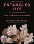 Merlin Sheldrake: Entangled Life: Illustrated Edition, Buch