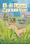 Ron Roy: A to Z Animal Mysteries #6: Find That Ferret!, Buch