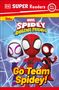 Dk: DK Super Readers Pre-Level Marvel Spidey and His Amazing Friends Go Team Spidey!, Buch