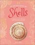 Dk: An Anthology of Shells, Buch